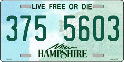 NH license plate 3755603