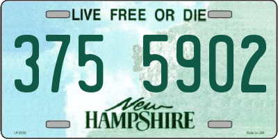 NH license plate 3755902