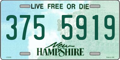 NH license plate 3755919