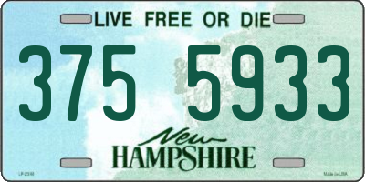 NH license plate 3755933