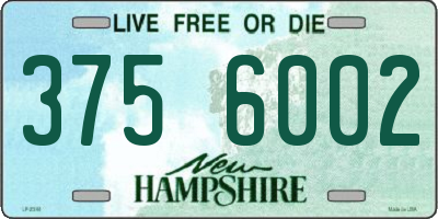 NH license plate 3756002