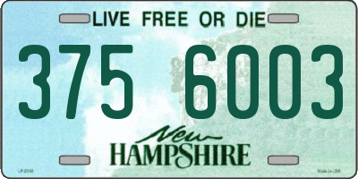 NH license plate 3756003