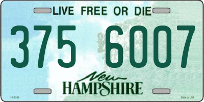 NH license plate 3756007