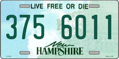 NH license plate 3756011