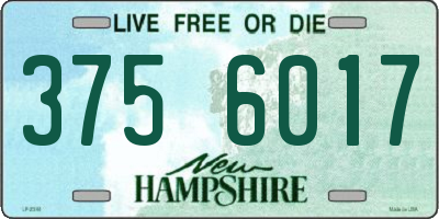 NH license plate 3756017