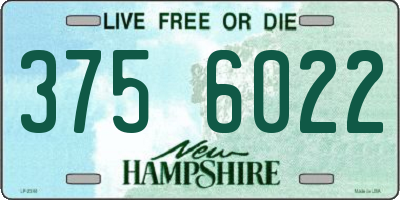 NH license plate 3756022