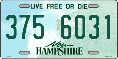 NH license plate 3756031