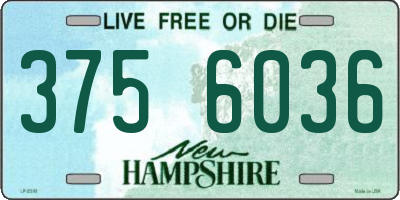 NH license plate 3756036