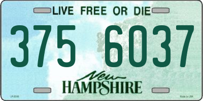 NH license plate 3756037