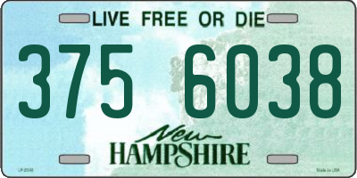 NH license plate 3756038
