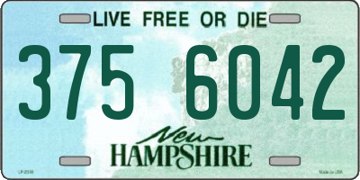 NH license plate 3756042
