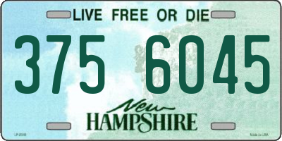 NH license plate 3756045