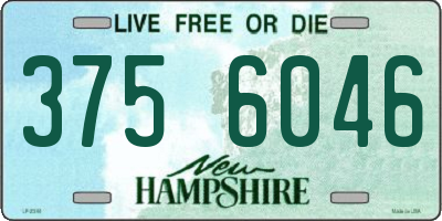 NH license plate 3756046
