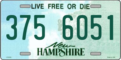 NH license plate 3756051