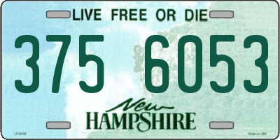 NH license plate 3756053