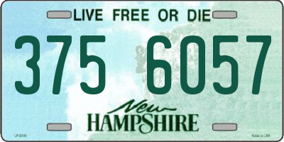 NH license plate 3756057