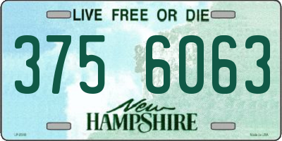 NH license plate 3756063