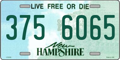 NH license plate 3756065