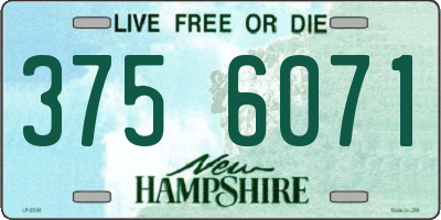 NH license plate 3756071