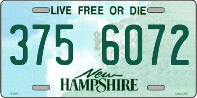 NH license plate 3756072