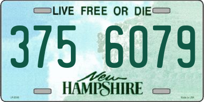 NH license plate 3756079