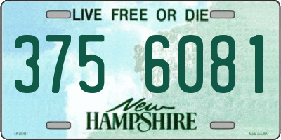 NH license plate 3756081