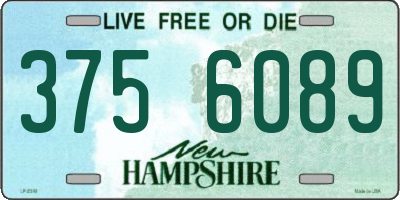 NH license plate 3756089