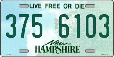 NH license plate 3756103