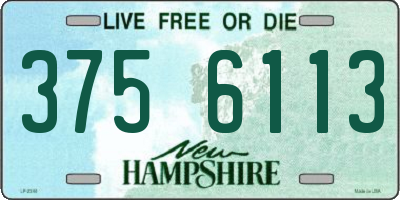 NH license plate 3756113