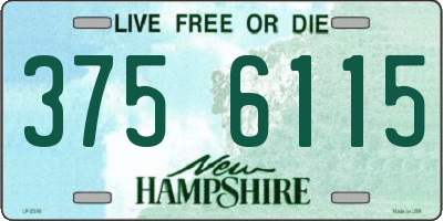 NH license plate 3756115