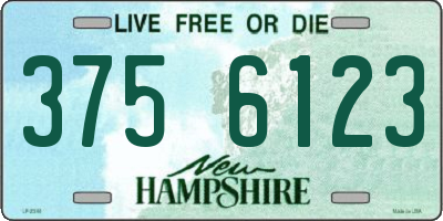 NH license plate 3756123
