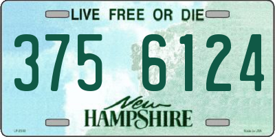 NH license plate 3756124