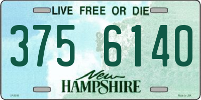 NH license plate 3756140