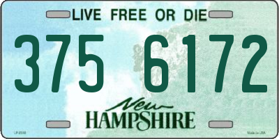 NH license plate 3756172