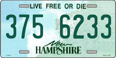 NH license plate 3756233