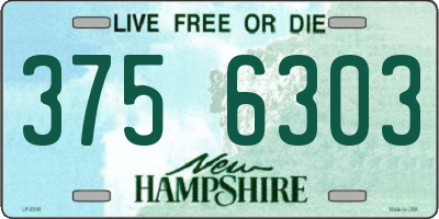 NH license plate 3756303