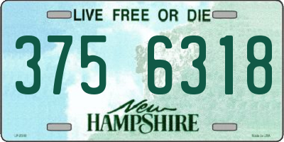 NH license plate 3756318