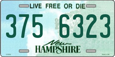 NH license plate 3756323
