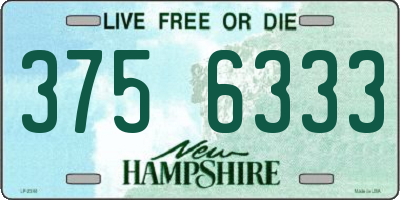 NH license plate 3756333
