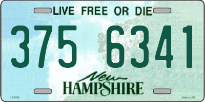 NH license plate 3756341