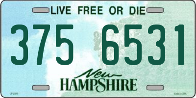NH license plate 3756531