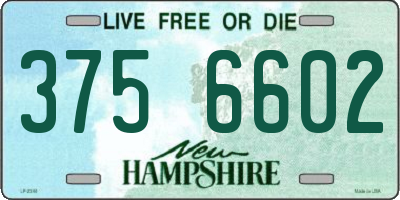 NH license plate 3756602