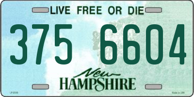 NH license plate 3756604