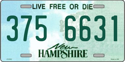 NH license plate 3756631