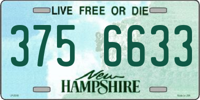 NH license plate 3756633