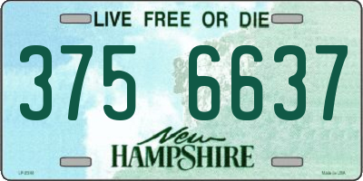 NH license plate 3756637