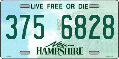 NH license plate 3756828