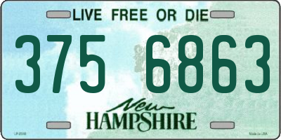 NH license plate 3756863