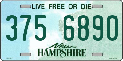 NH license plate 3756890