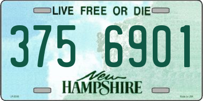 NH license plate 3756901